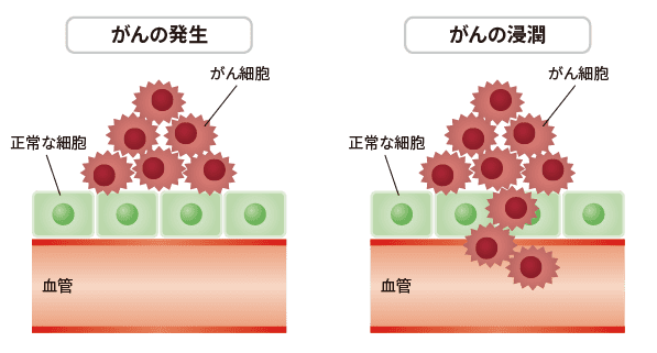 医師に連絡する時期